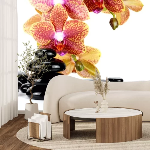Sticker Spa Stones and Orchid flowers over white...