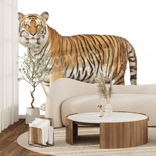 Fotobehang Figuur van een wilde kat