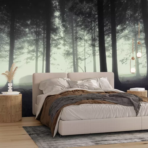 Sticker somber bos met mist