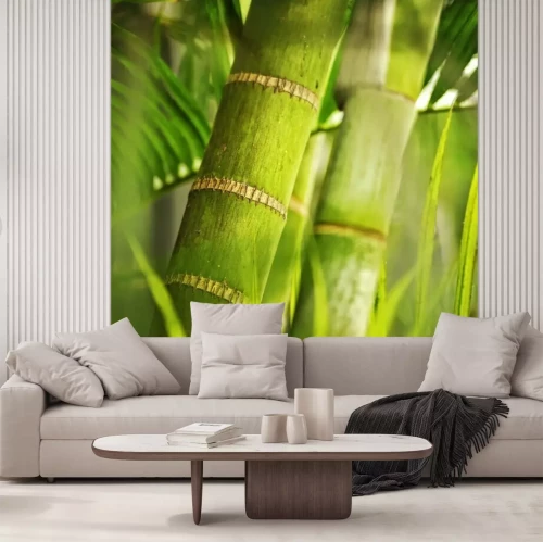 Fotobehang Bamboe in macro weergave