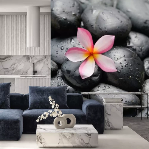 Sticker frangipani en natte zwarte keien