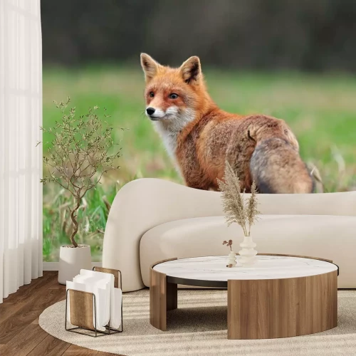 Fotobehang Bosdier met rosse manen