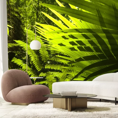 Fotobehang Palmen en varens in de jungle