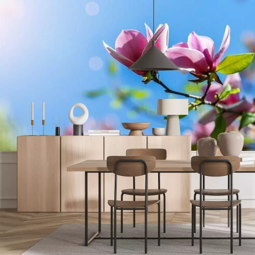 Fotobehang Magnolia's hemel en zon