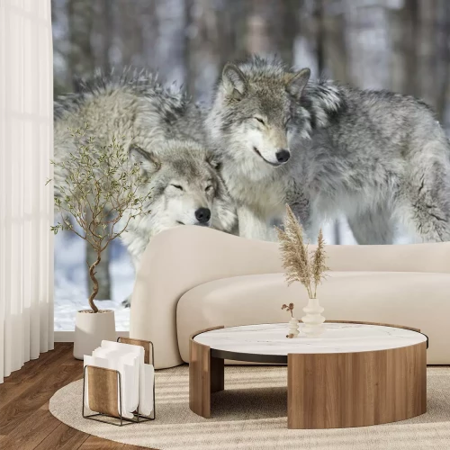 Fotobehang Een troep poolwolven