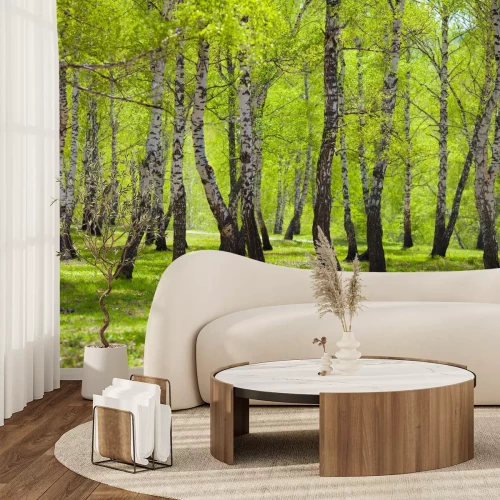 Fotobehang Groen gras en berken