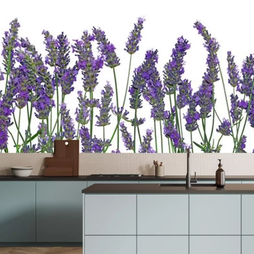 Sticker Purpere lavendelbloemen op een rij