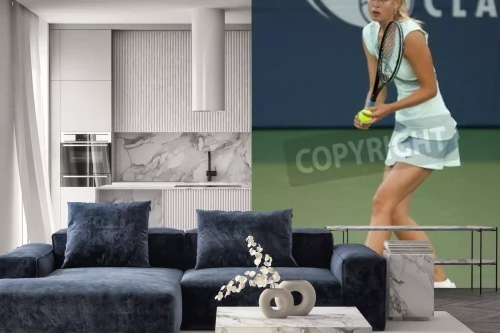 Visualisatie van het product