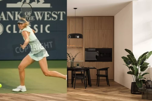 Visualisatie van het product