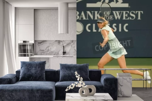 Visualisatie van het product