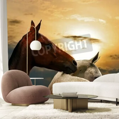 Fotobehang Twee paarden bij zonsondergang