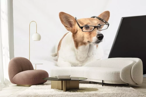 Visualisatie van het product