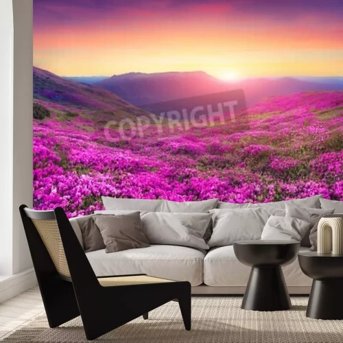 Fotobehang Bloemenveld bij zonsopgang