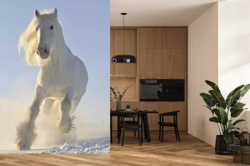 Visualisatie van het product