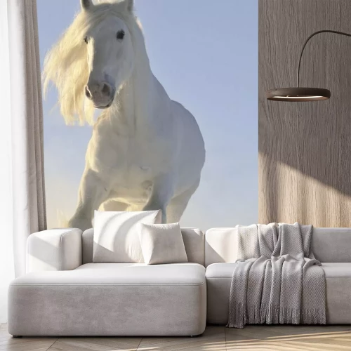 Fotobehang Galopperend paard in sneeuw