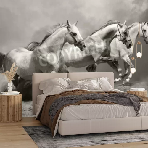 Fotobehang Galopperende paarden in de morgen