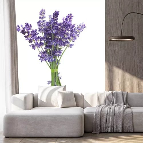 Sticker Stelletje lavendel op een witte achtergrond