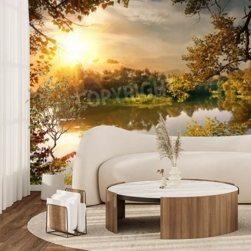 Fotobehang Zonsopgang en een zwaan in een vijver