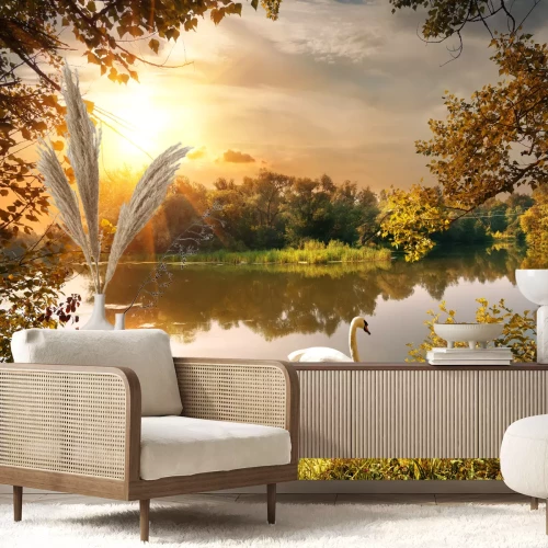 Fotobehang Zonsopgang en een zwaan in een vijver