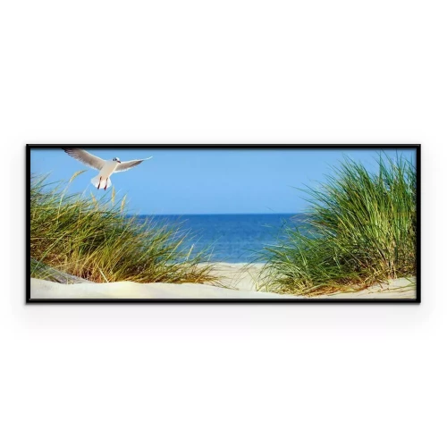 Poster Een meeuw zweeft boven het gras dat op de duinen groeit.