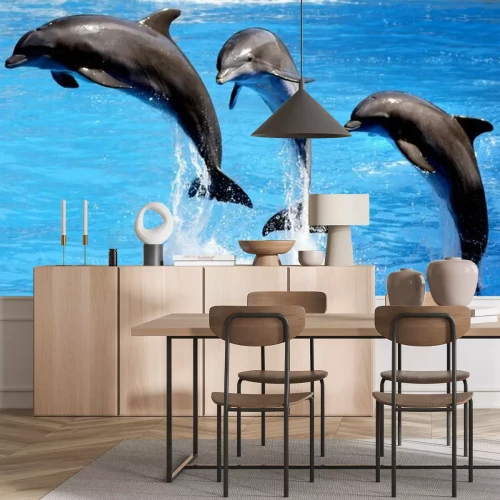 Fotobehang Dolfijnen zwemmen uit het water