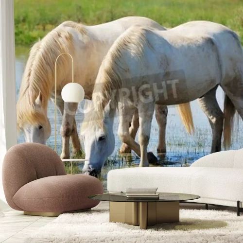 Fotobehang Paar paarden drinken water