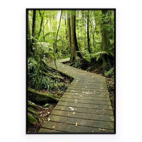 Poster Een houten brug die door een dicht bos leidt.