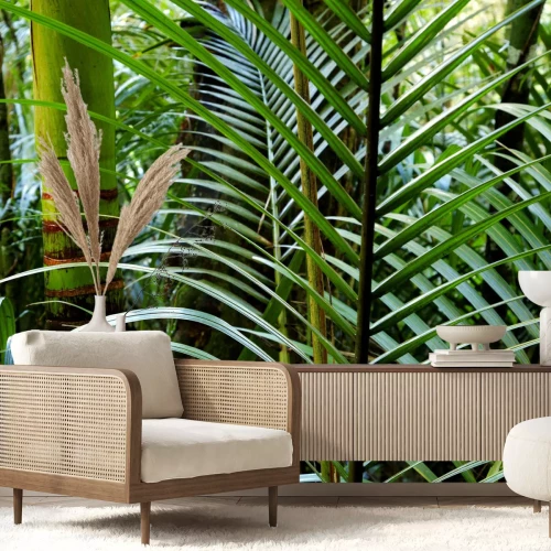 Fotobehang Tropische bomen en bamboe