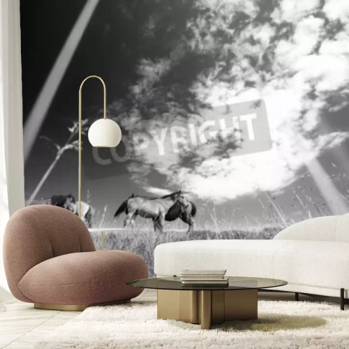 Fotobehang Zwart-wit motief met paarden