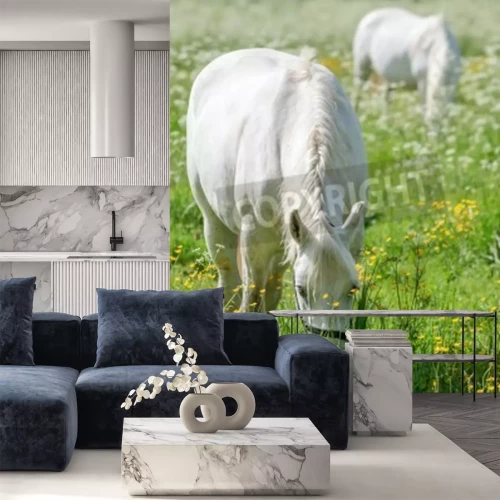 Fotobehang Twee paarden eten gras