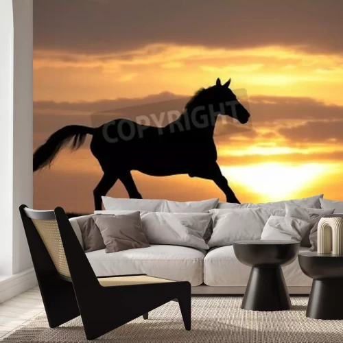 Fotobehang Majestueus dier bij zonsondergang