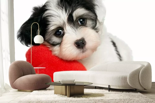 Visualisatie van het product