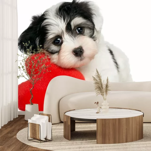 Fotobehang Dier met een hart