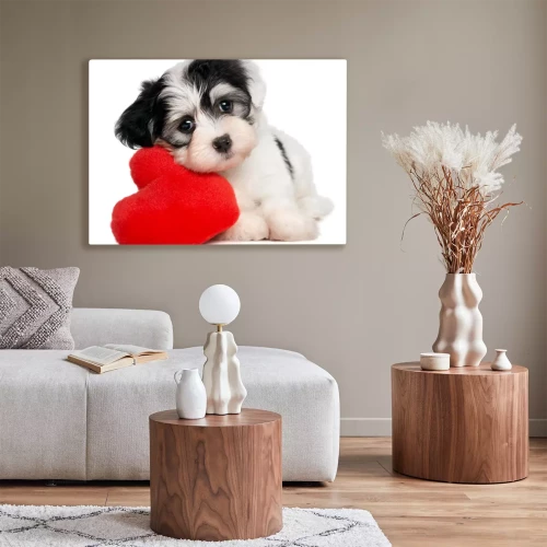 Visualisatie van het product