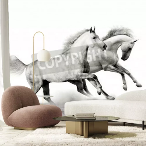 Fotobehang Monochromatische voorstelling van paarden