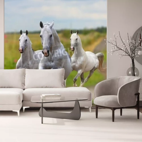 Fotobehang Paarden lopen op een zandweg