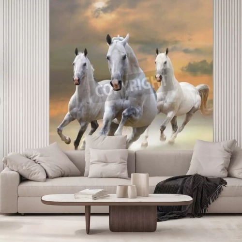 Fotobehang Galopperende paarden bij zonsondergang