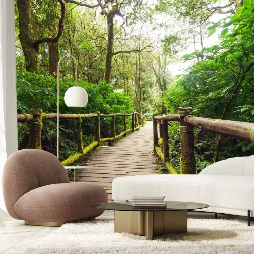 Fotobehang Brug over de tropen