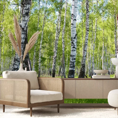 Fotobehang Vegetatie en berken