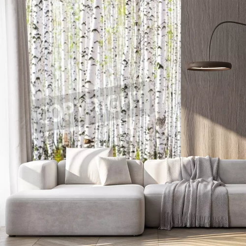 Fotobehang Dicht berkenbos