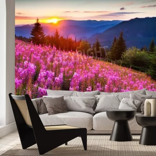 Fotobehang Bergbloemen en zonsopgang