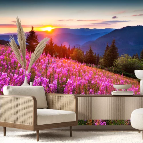 Fotobehang Bergbloemen en zonsopgang