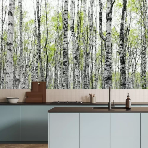 Fotobehang Een bos van berkenstammen