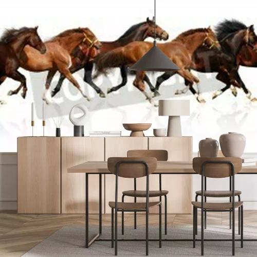 Fotobehang Silhouetten van paarden op een witte achtergrond