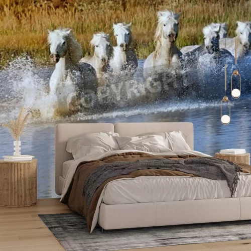 Fotobehang Paarden lopen in een rivier