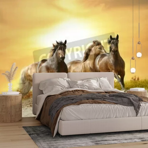 Fotobehang Zonsondergang en paarden
