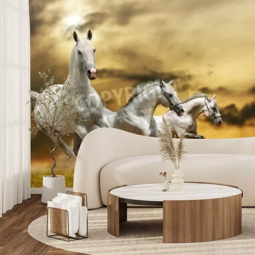 Fotobehang Paarden lopen op gras