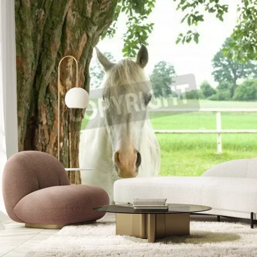 Fotobehang Paard verstopt achter een boom