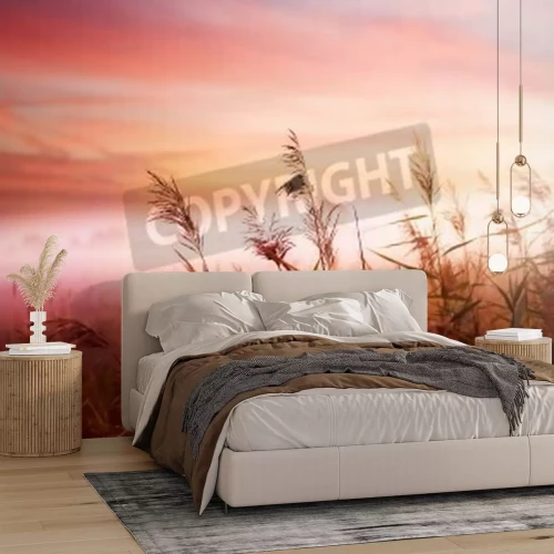 Fotobehang Roze zonsopgang op een veld