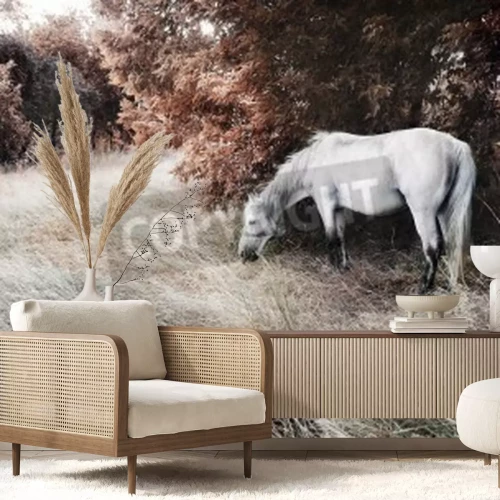 Fotobehang Herfstlandschap met een paard